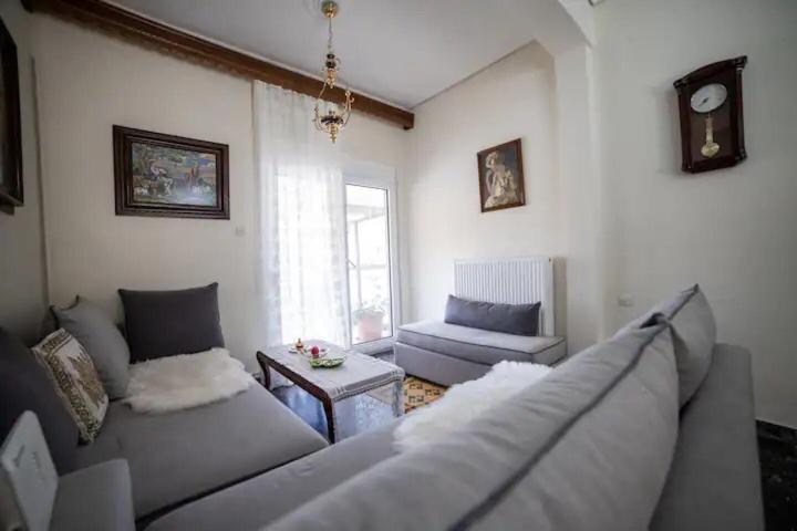 Loft House Trikala Apartment Exterior foto